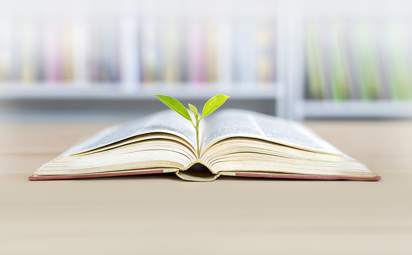 A sprout growing from an open book, symbolizing the growth of knowledge or a new beginning.
